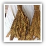 LEAF TOBACCO SHREDDED TOBACCO raw tobacco leaf dark air cured tobacco rustica tobacco FLUE CURED TOBACCO
